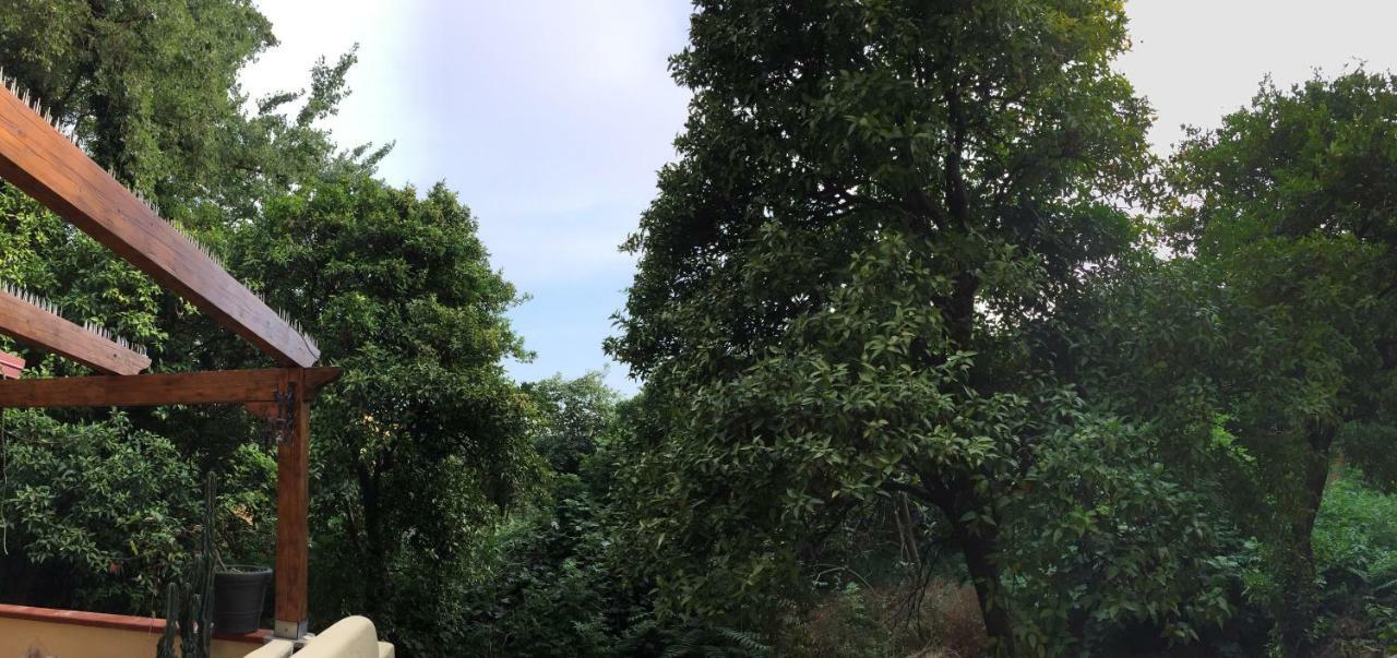 阿莱卡特德瑞住宿加早餐旅馆 那不勒斯 外观 照片